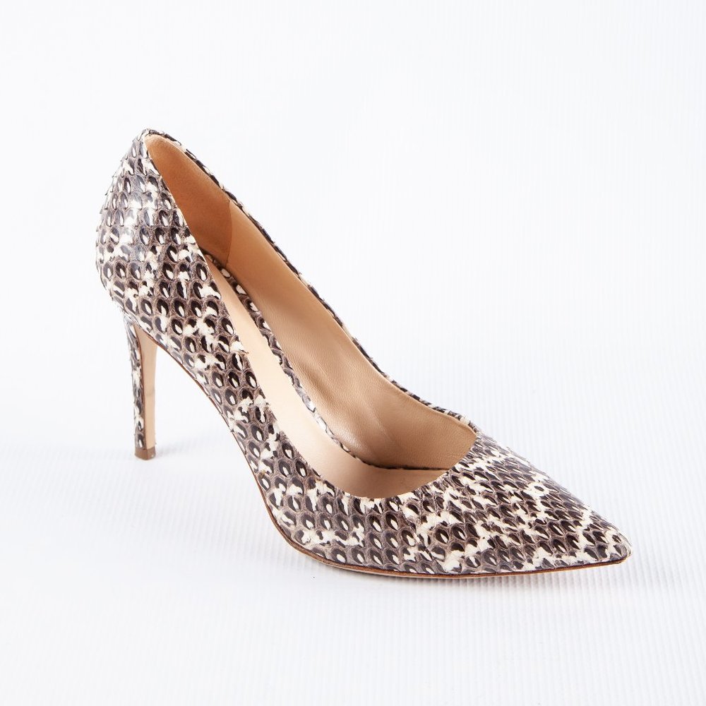 M. Gemi-Esatto pump